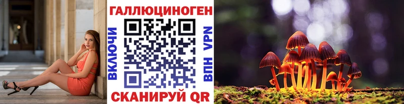наркота  Фролово  Галлюциногенные грибы прущие грибы 